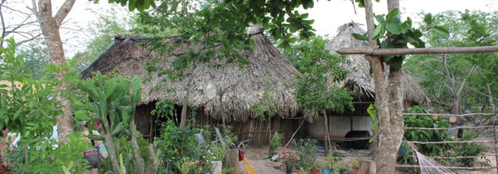 Maya Village